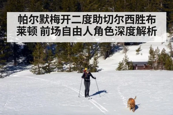 帕尔默梅开二度助切尔西胜布莱顿 前场自由人角色深度解析