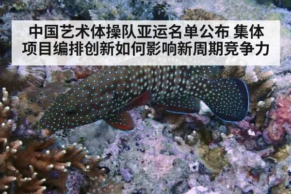 中国艺术体操队亚运名单公布 集体项目编排创新如何影响新周期竞争力