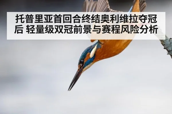 托普里亚首回合终结奥利维拉夺冠后 轻量级双冠前景与赛程风险分析